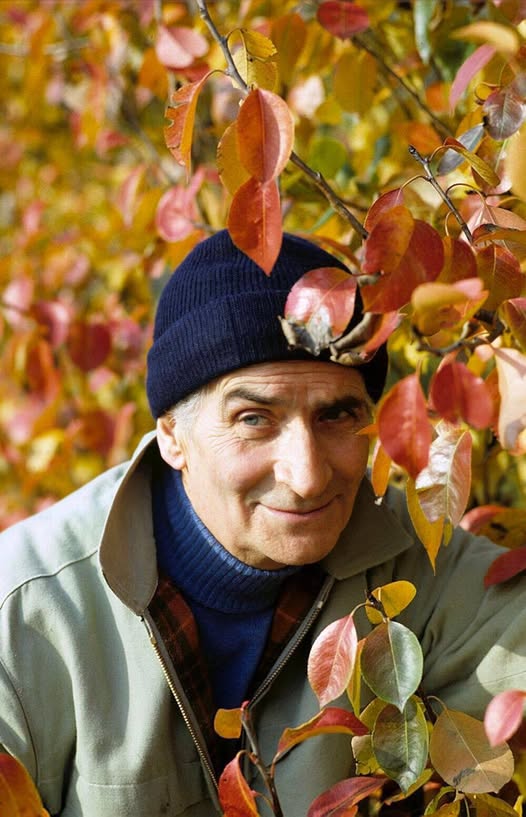 « Peu importe que vous ayez du style, une réputation, ou de l'argent, si vous n'avez pas bon cœur, vous ne valez rien. » Louis de Funès - #Automne