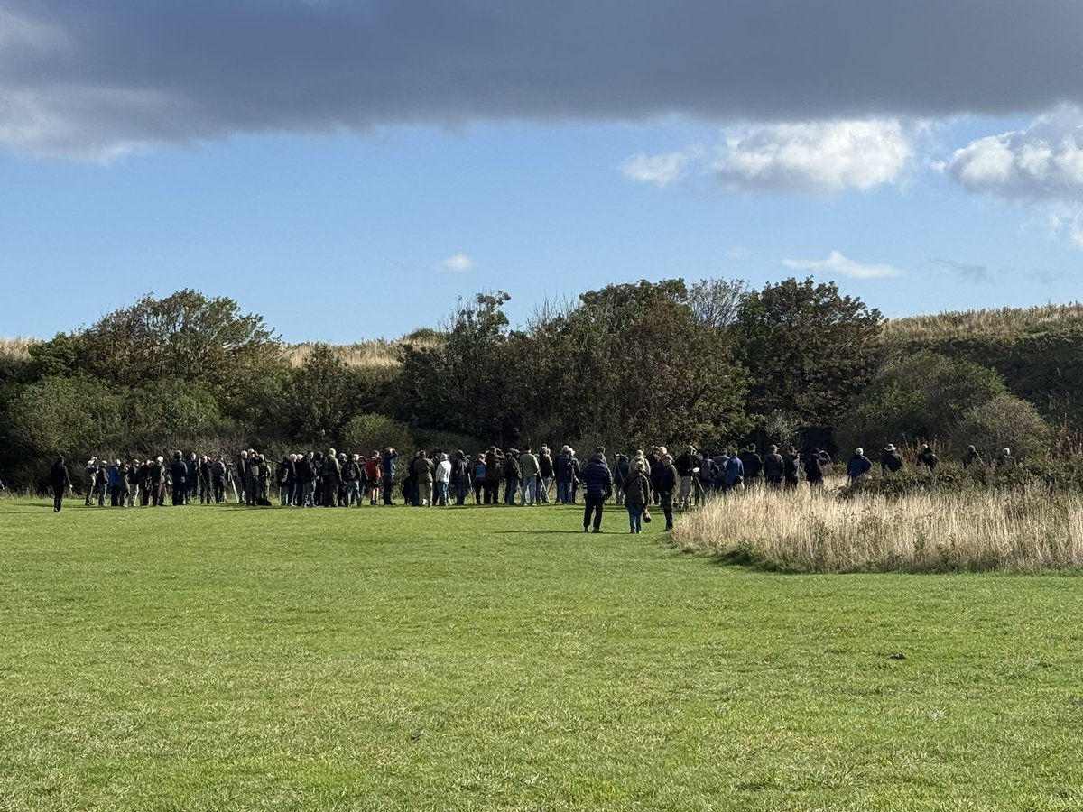 Stefan McElwee tweet media