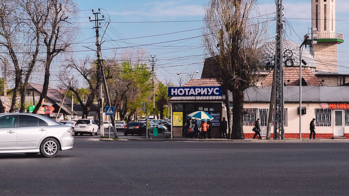 แกลลารี่ 🏔️ tweet media