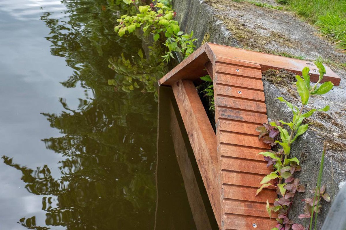 Вера Измайлова tweet media