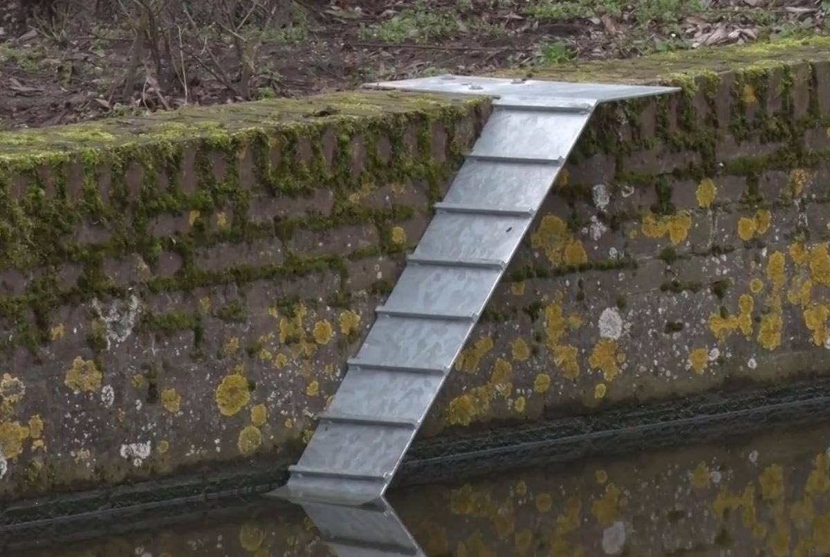 Вера Измайлова tweet media