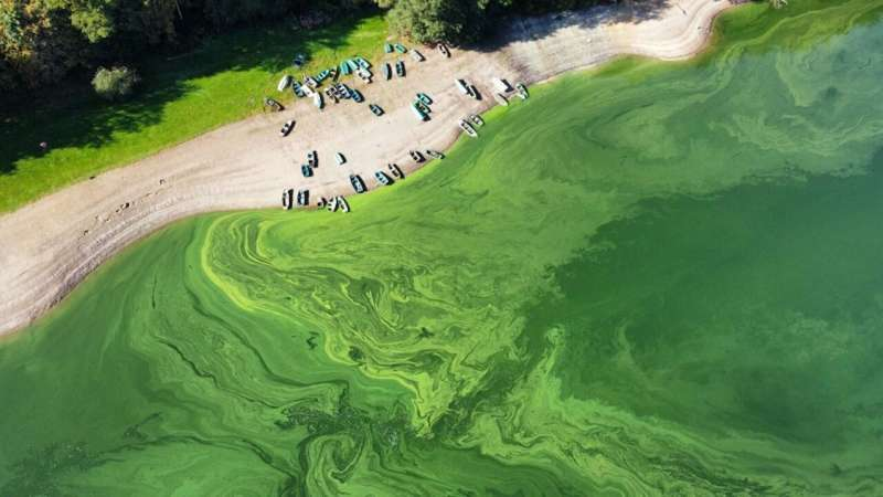 Idamr2026's tweet image. How Luxembourg detects microbes in its water supply before they pose a health risk: tinyurl.com/33z57rnr
For More Details Visit Our Website IDAMR 2026 :infectiousdiseasesconclave.com
#WaterSafety #MicrobialDetection #PublicHealth #WaterQuality #SafeWater #Innovation #HealthSecurity