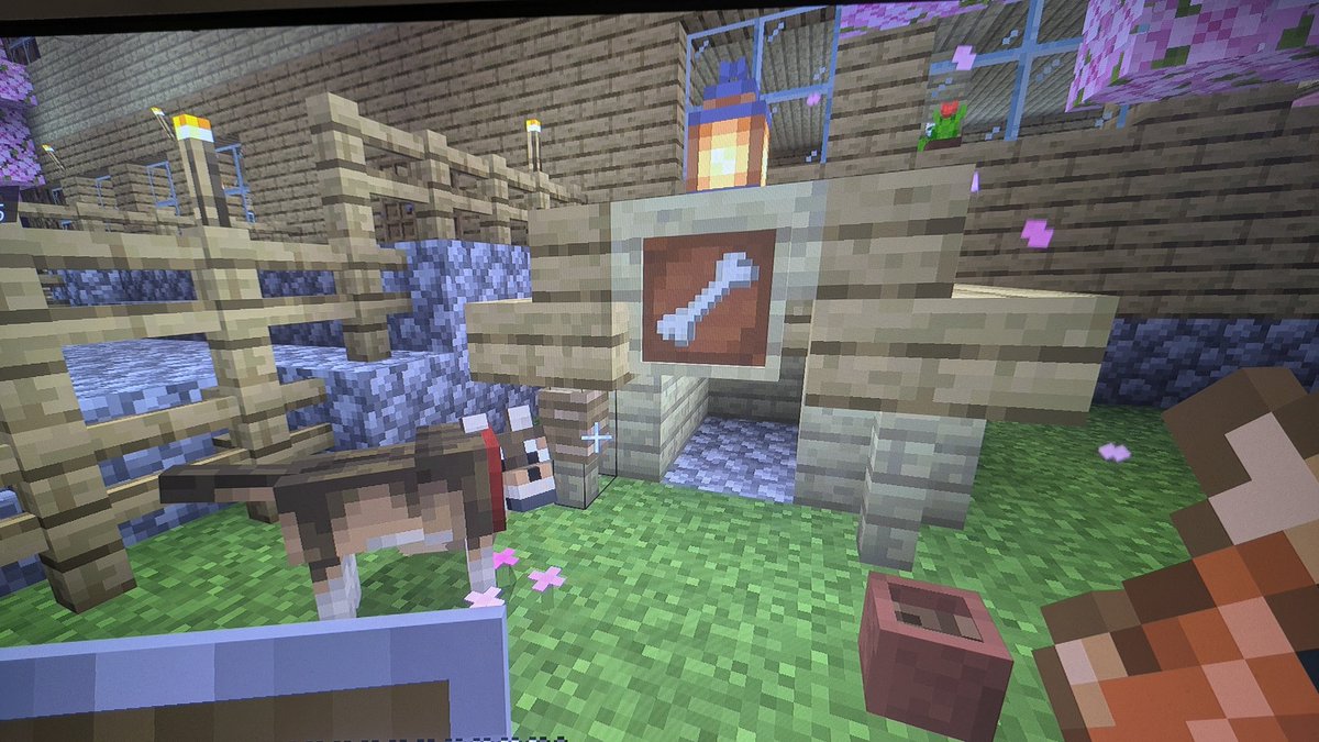 コツコツ木を切ってたらスケルトンホースが
目の前に現れた！！
雷の音でびっくりしたもんだw⚡︎⚡︎
捕まえられて嬉しい😊
あと連れて帰る途中にクリーパーに殺されて3度目で無事連れて帰ったオオカミw🐺😂
可愛いから簡単犬小屋作ってあげた☝️😚