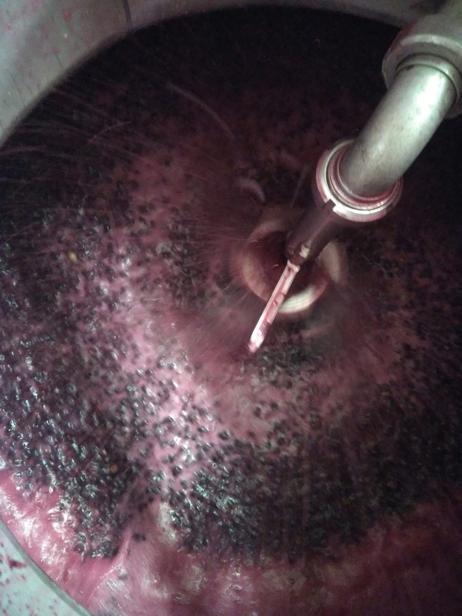 Un dimanche de vinifications ''chez nous'' ? 
<a href="/LesFranginsVins/">LesFranginsDelanoue</a> s'occupent des raisins déjà rentrés, les enfants jouent aux tracteurs à pédales avec Mamie Pascale.