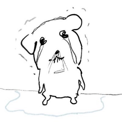 갑자기 지현 엄청 보고 싶음
울음날정도로,