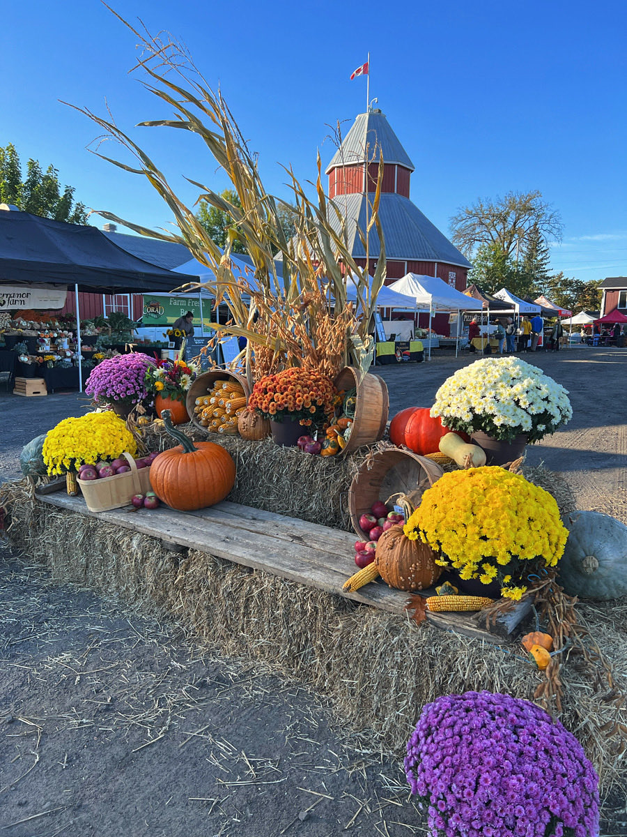 Fall is coming to the Carp Farmers’ Market! 🍂 Mark your calendars for our Harvest Celebration Market happening Saturday, Oct. 4th from 8am-1pm at the Carp Fairgrounds! Join our group of 80+ local vendors as we celebrate the bountiful fall harvest with fun fall festivities 🌾