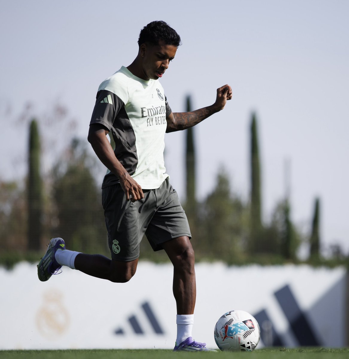 RodrygoGoes's tweet image. Domingo ✅☀️😅