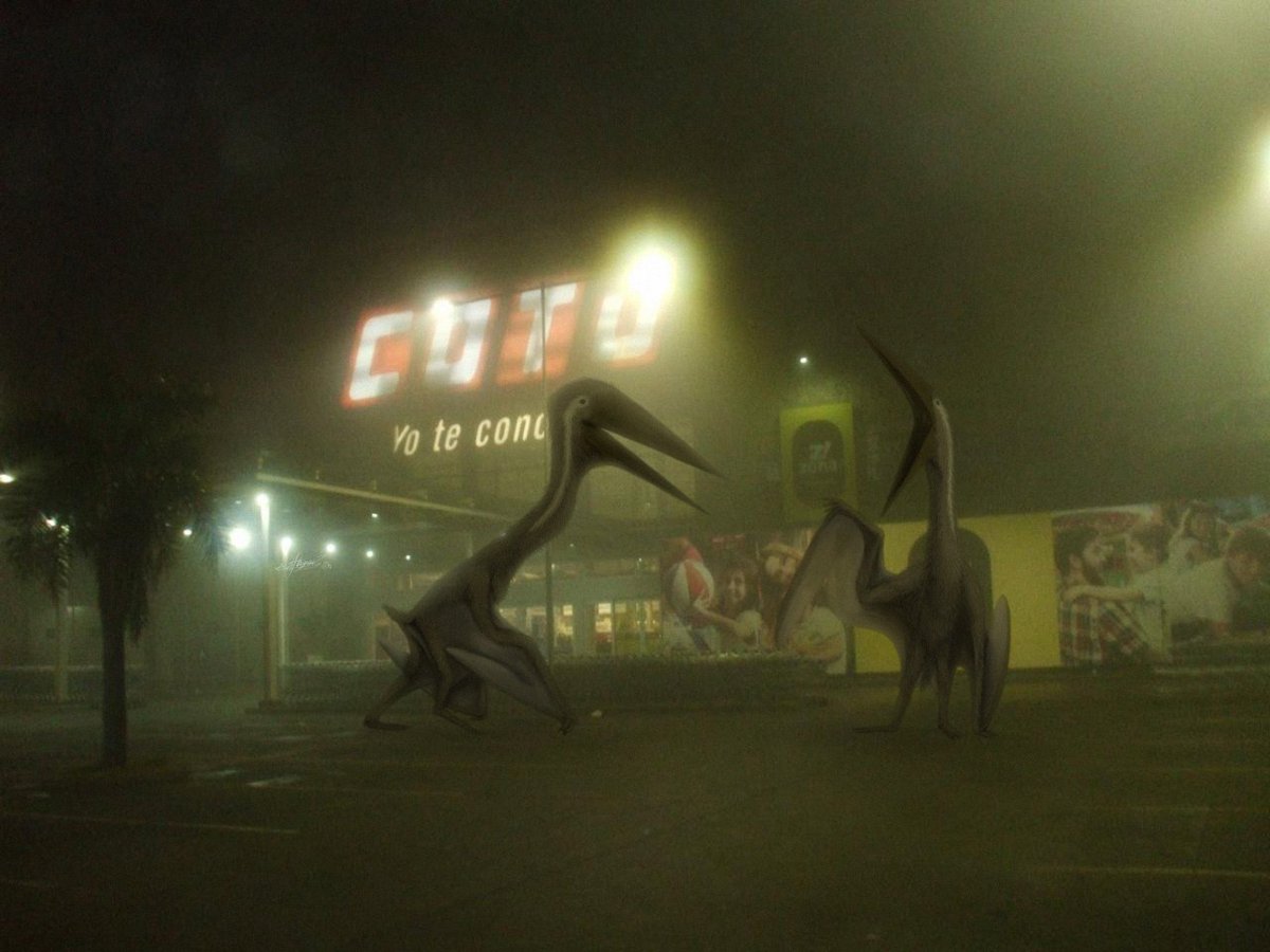 AbigailDX1's tweet image. THANATOSDRAKON 
You can no longer enter supermarkets, these horrible birds wait at the entrance and are very aggressive, they have even eaten dogs lately, they swallow them whole...

#Art #ArtistOnTwitter #thanatosdrakon #azhdarchidae #horror #HorrorArt