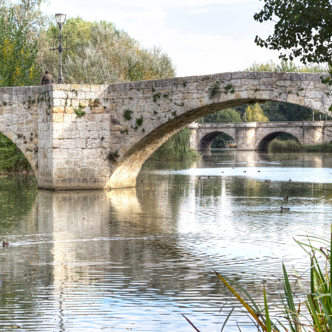 EspanaEnLatam's tweet image. 🚆¡Descubre Palencia! Con la mayor colección de arte románico de Europa, te invita a pasear por sus calles, visitar la Catedral de San Antolín 🏰 y relajarte junto al río Carrión🌿

#VisitaEspaña #España #CastillaYLeón #Palencia #EspañaInterior #ThinkYouKnowSpain