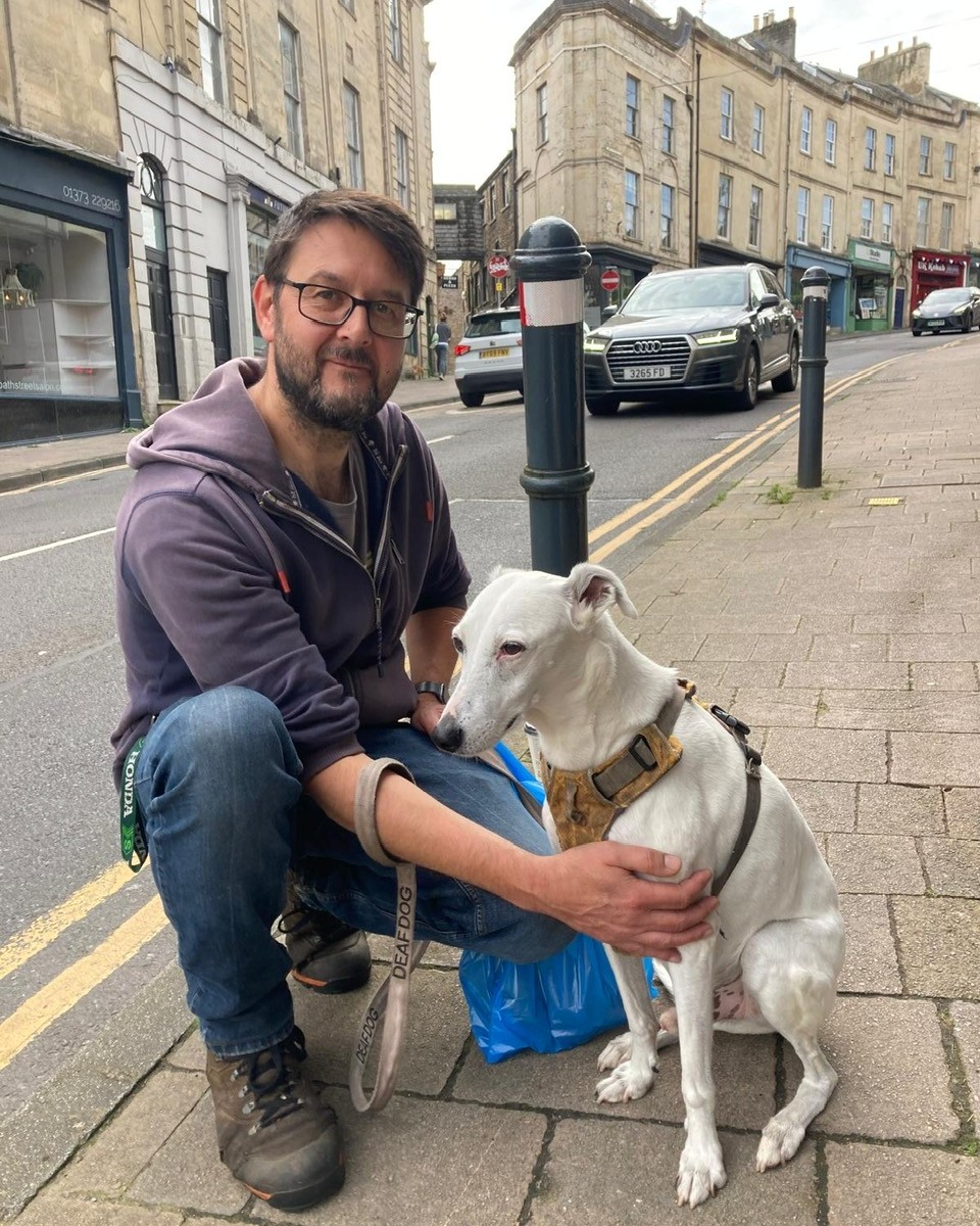 Forever Hounds Trust tweet media