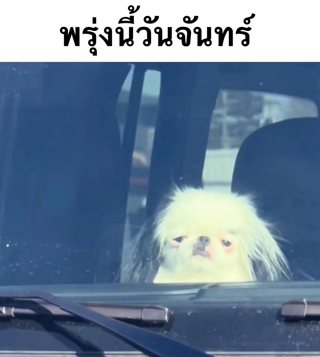 Mood กุตอนนี้ :