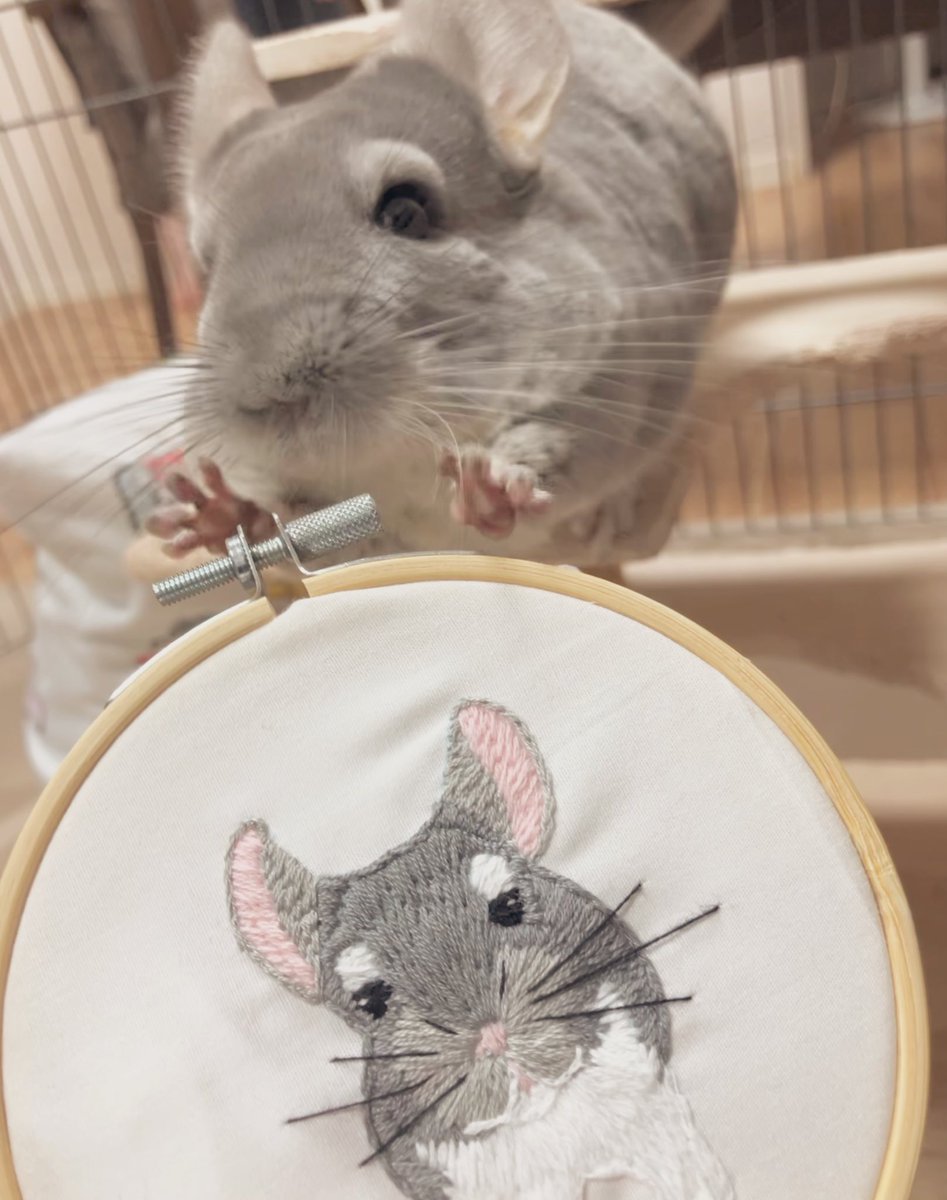 ニアコ🐭SunezumiSHOP on X: 