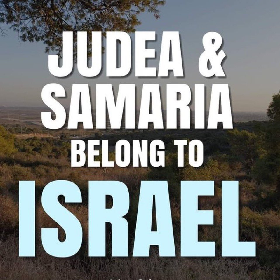 Vivid.🇮🇱 tweet media