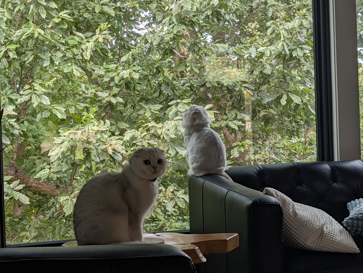 mikegkc's tweet image. You cover the front Mike, we&apos;ve got the back of the house.