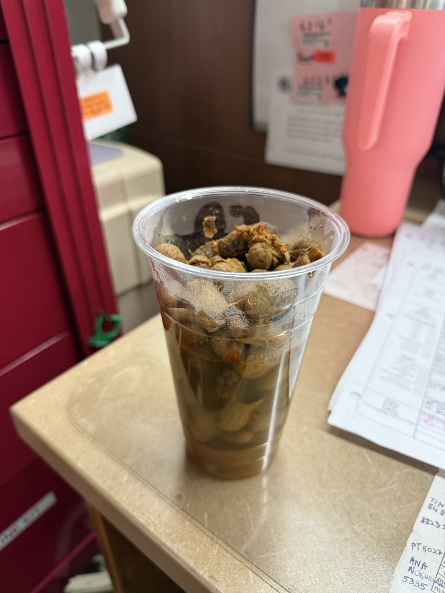 Ms.WarriorRN🔥Leo☀️Goddess 🇺🇸 tweet media