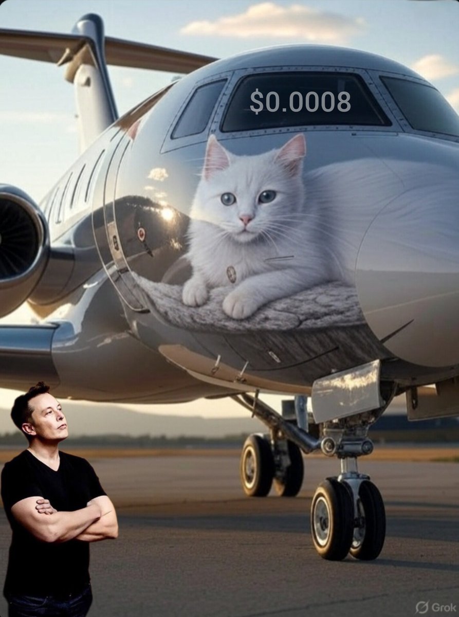Dear Elon, given your love for cats, check out #WikiCat, a community-driven memecoin (<a href="/wikicatcoin/">Wiki Cat</a>) focused on education and wealth distribution. What do you think? We're curious! 😻🚀 WikiCat <a href="/elonmusk/">Elon Musk</a>
<a href="/sirmapy/">Sir Mapy</a>
<a href="/wikicatcoin/">Wiki Cat</a>
Dear followers, liking and retweeting costs you nothing