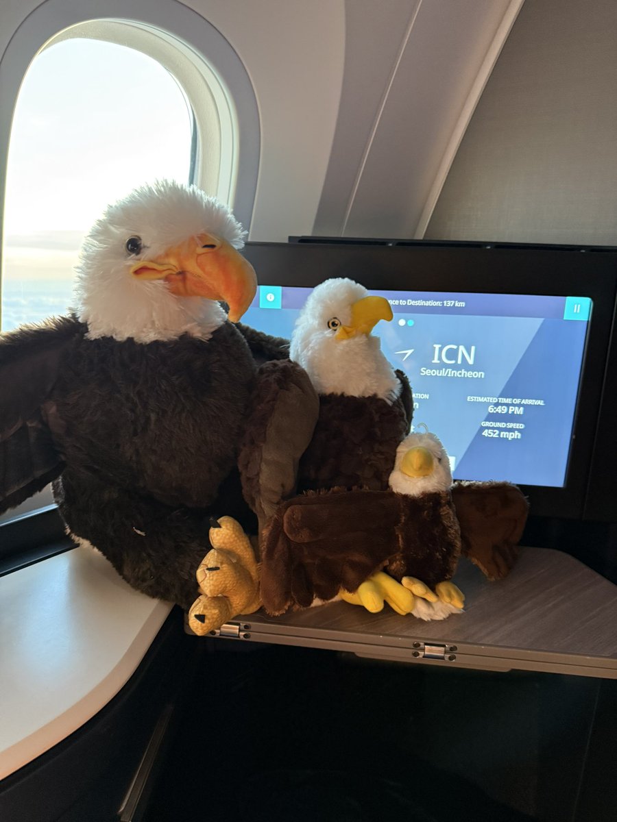 The eagle family packed their bags 🧳🦅
Destination: Seoul for #KBW2025
WLFI community = borderless, growing, unstoppable.
<a href="/kbwofficial/">#KBW</a>