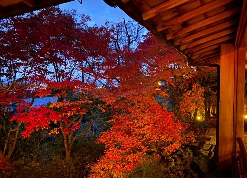 The_Stone_Oishi's tweet photo. ✨Evening lights at #thestone 🍁
The garden glows with autumn colors and quiet moss paths.
Here, your wishes find harmony with nature 🙏

#Sagano #Kyoto #JapanTravel #autumn #illumination https://t.co/X8xq7NqeIx