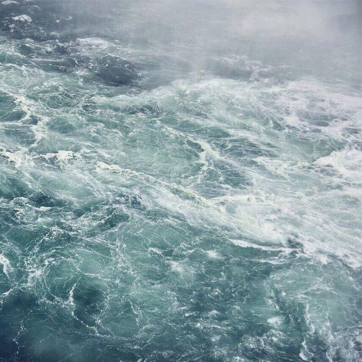 Feliz cumpleaños mi lindo seungmin, loml 💗💗 mi niño bello !! te amo un montón. Gracias porque en ti encontré un lugar seguro 💗😓 No sabes cuánto te amo y te admiro. 
#HappySeungminDay
#세상가장_푸르른_승민이_생일
#GoldenVoiceSeungminDay
#StrayKids #스트레이키즈
#승민 #Seungmin