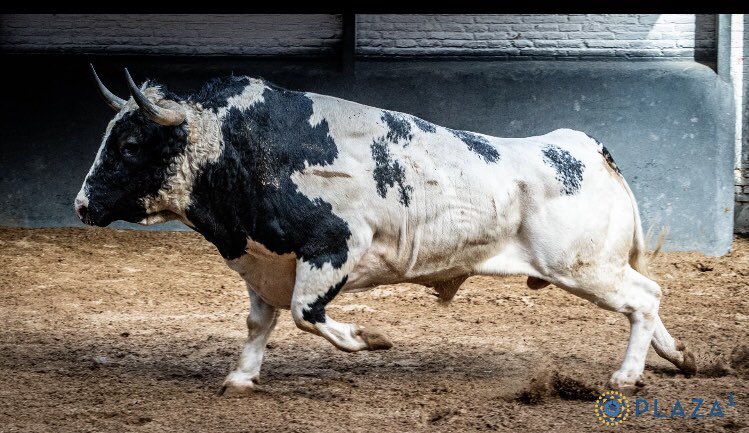 Pues se llegó la hora para Juan Pablo. Que tenga mucha suerte