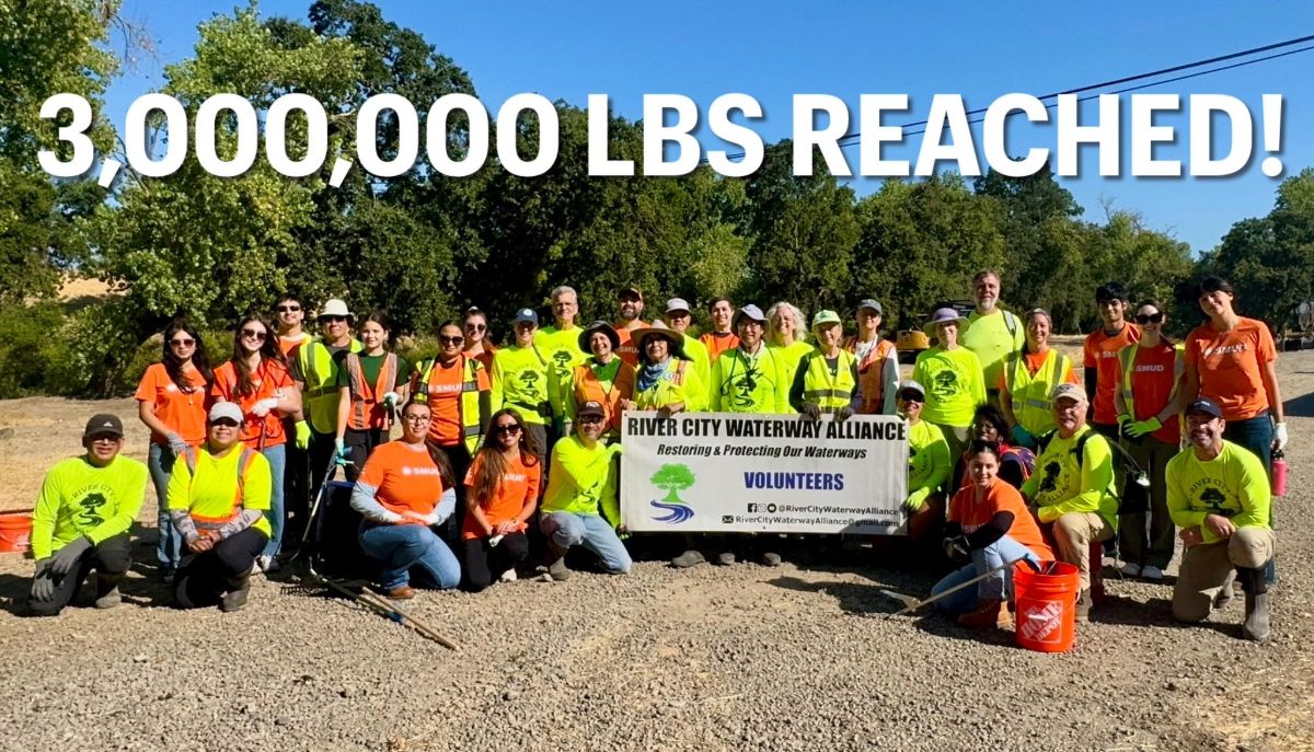 🌍  The Sunday Story - Faces of Change! - mailchi.mp/thetrashpunx/0…