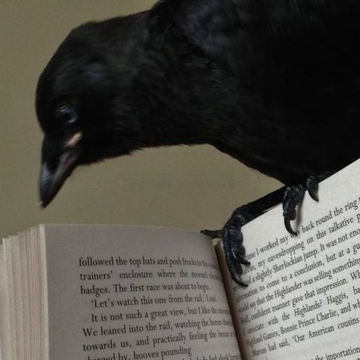 uhicr's tweet image. My spirit animal