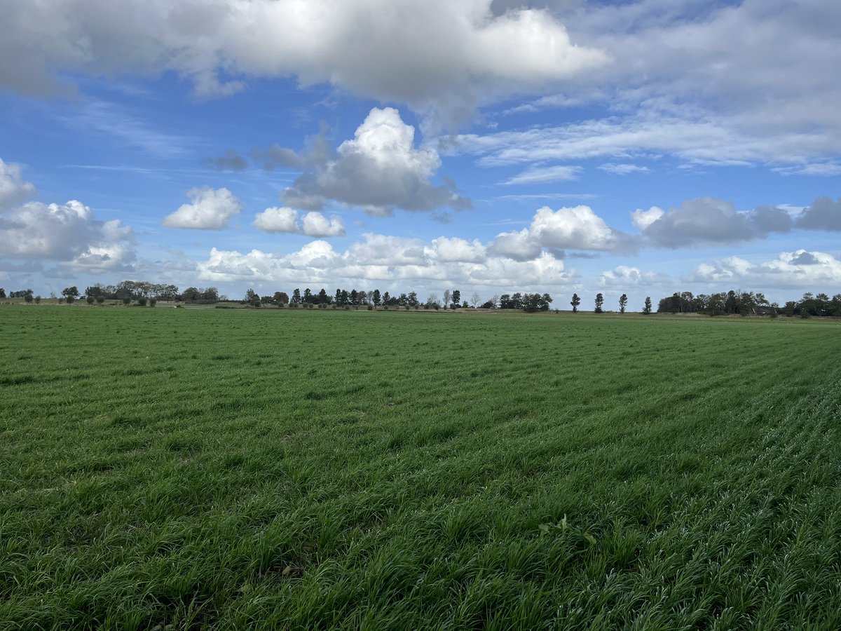 Rondje op de #akker. In de boomgaard zijn mooie paddenstoelen te vinden. Met de huidige temperatuur lijkt het al wel een beetje najaar. #teelt25