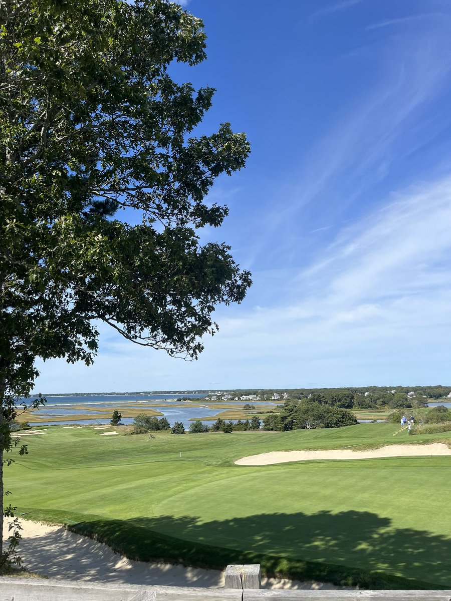 Braden Clifford tweet media