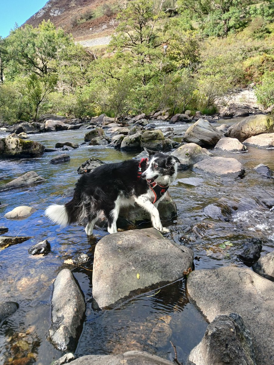 Fun times! Elan Valley.