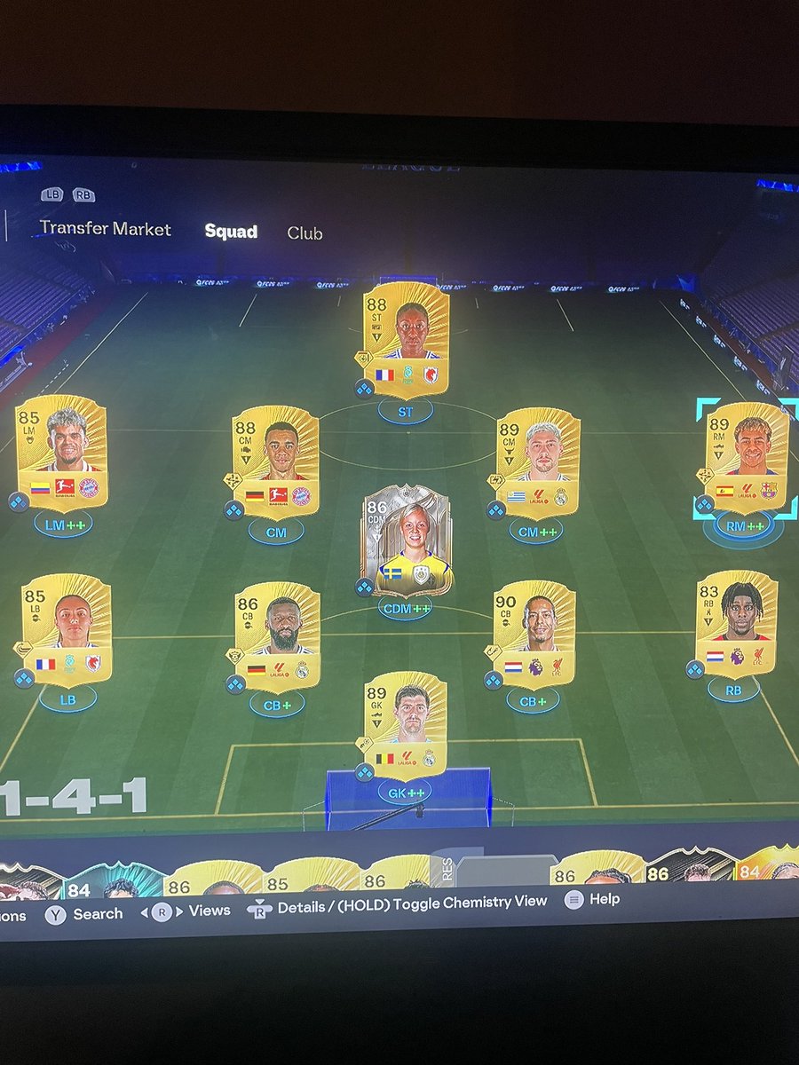 FinDog! 🔴 tweet media