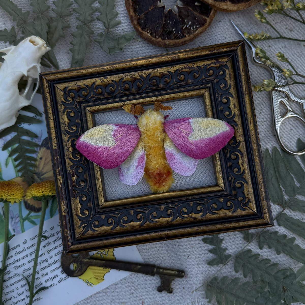 ✨ morgan ✨ tweet media