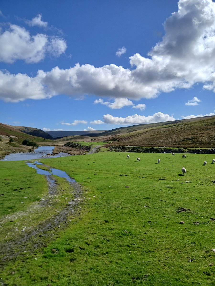 Quite times. Elan Valley today.