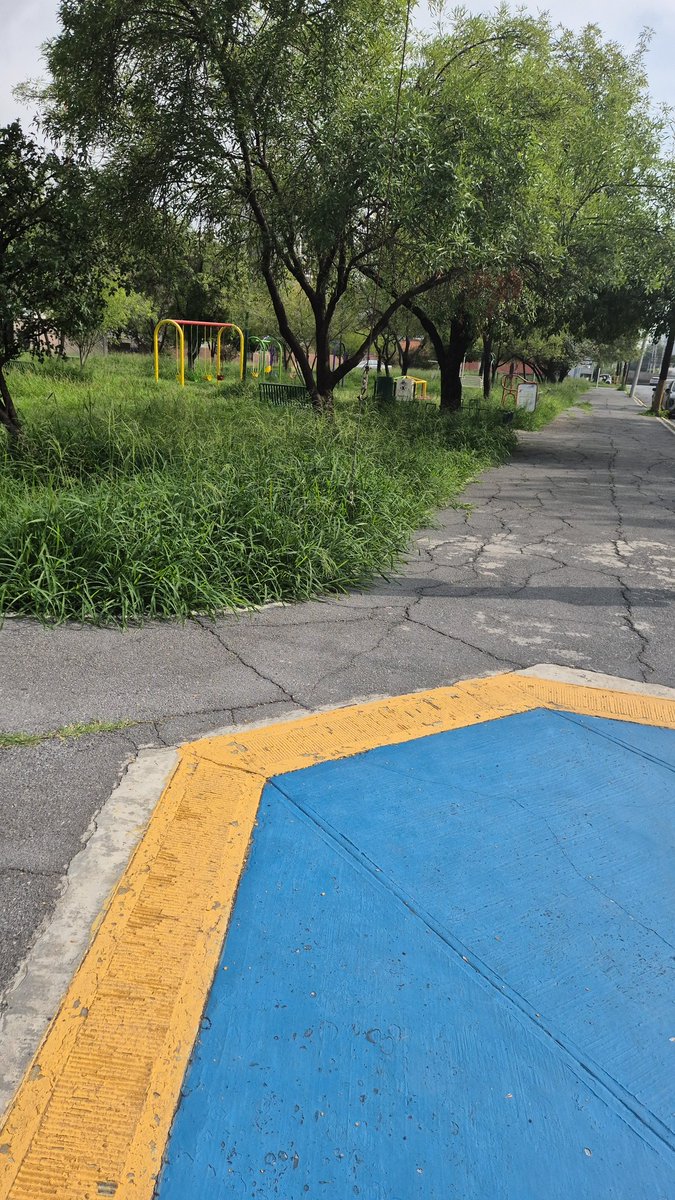 ggzza68's tweet photo. @ServPublicosMty parques de la colonia Alta Vista  CP 64840 en #Monterrey con Alta maleza y zacate. Calles Buenos Aires y Valparaiso. Y parque de Calle Barranquilla y Jamaica. https://t.co/OvaMWmoBm4