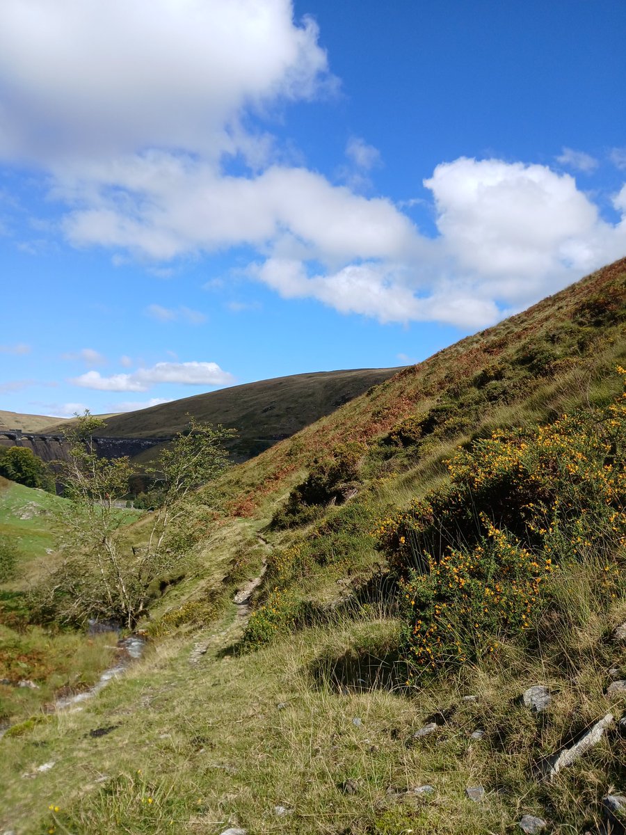 Up in the hills. Elan Valley.