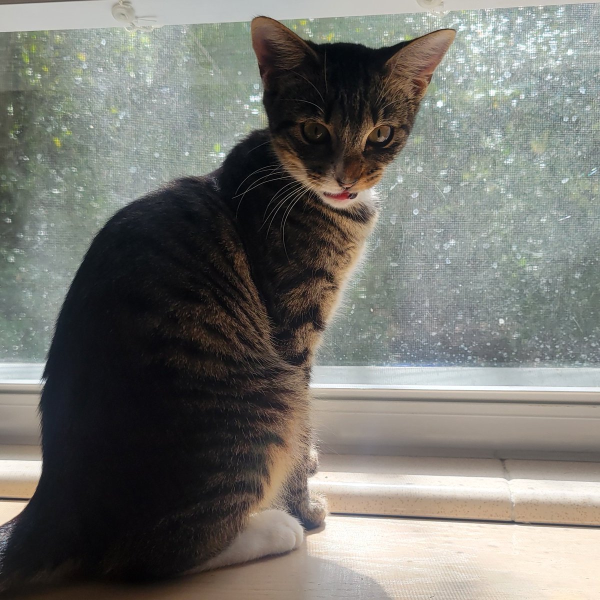 she found a new spot 🌞