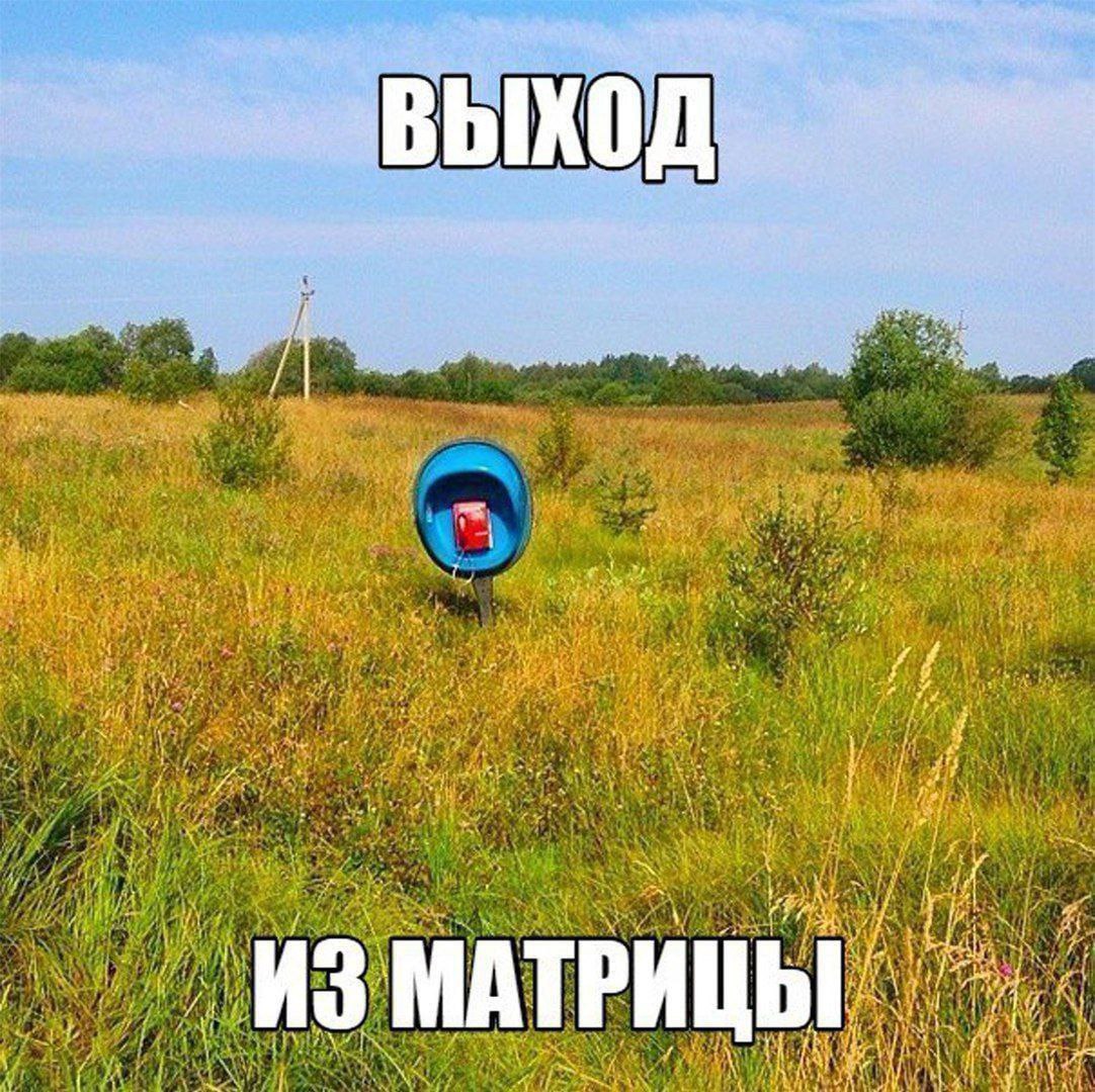 Gribanov ☢ ᓚᘏᗢ (@gribanov) on Twitter photo 