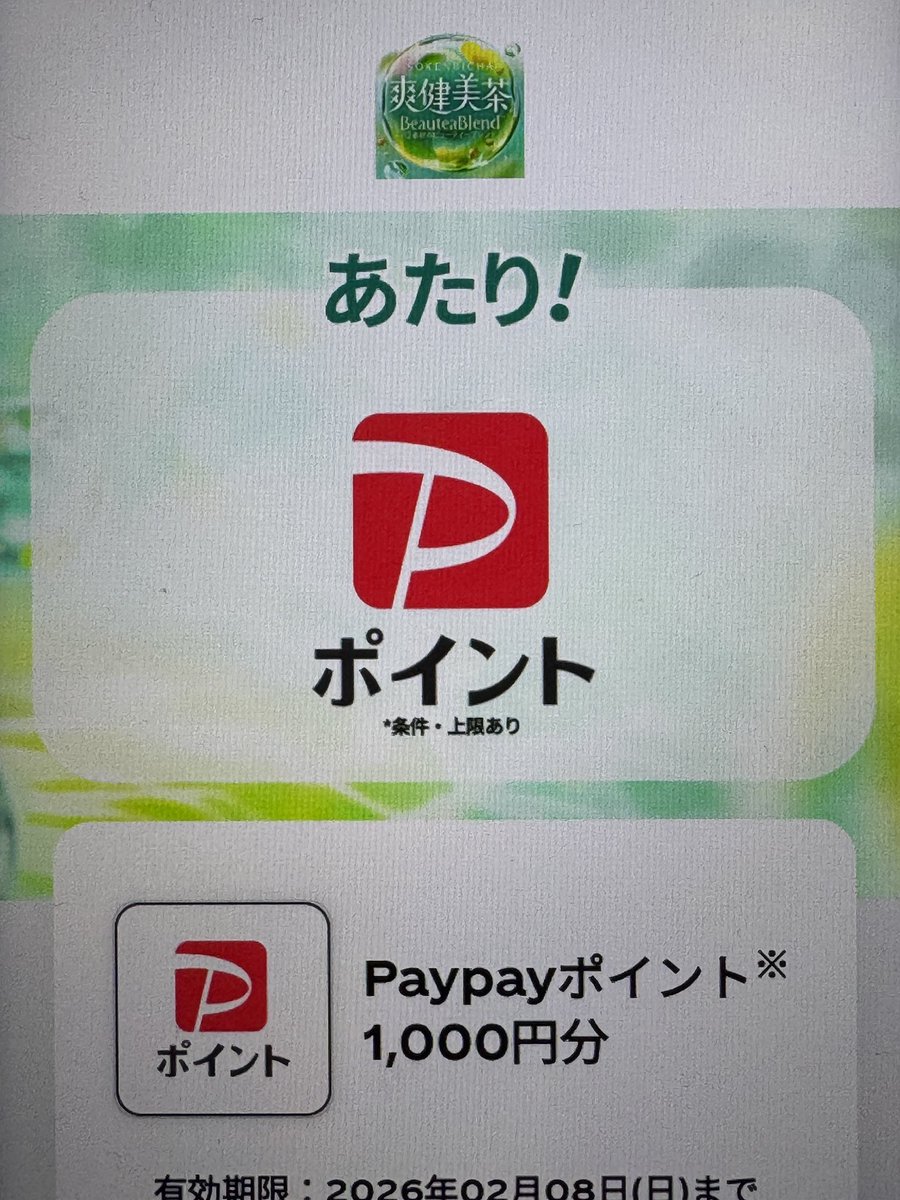 やむやむさま専用 ?media_id=3642789577263818779