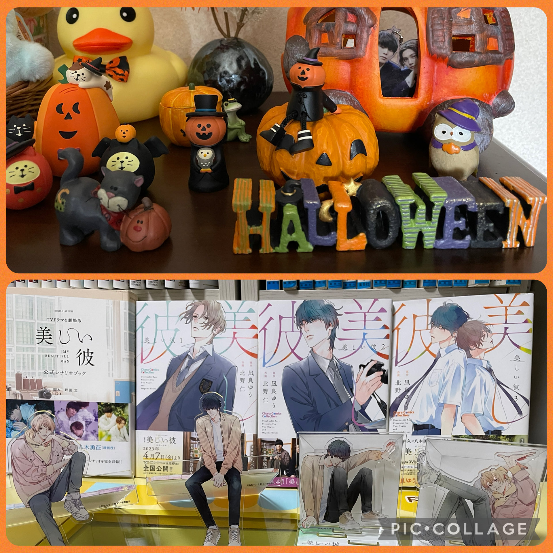 トラキン ハロウィンver. カードセット FANTASTICS FANTASTICS 佐藤