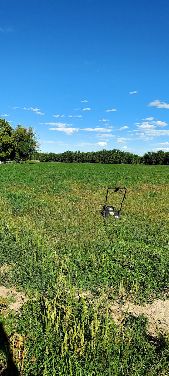 Dang, I might have under bid this one.