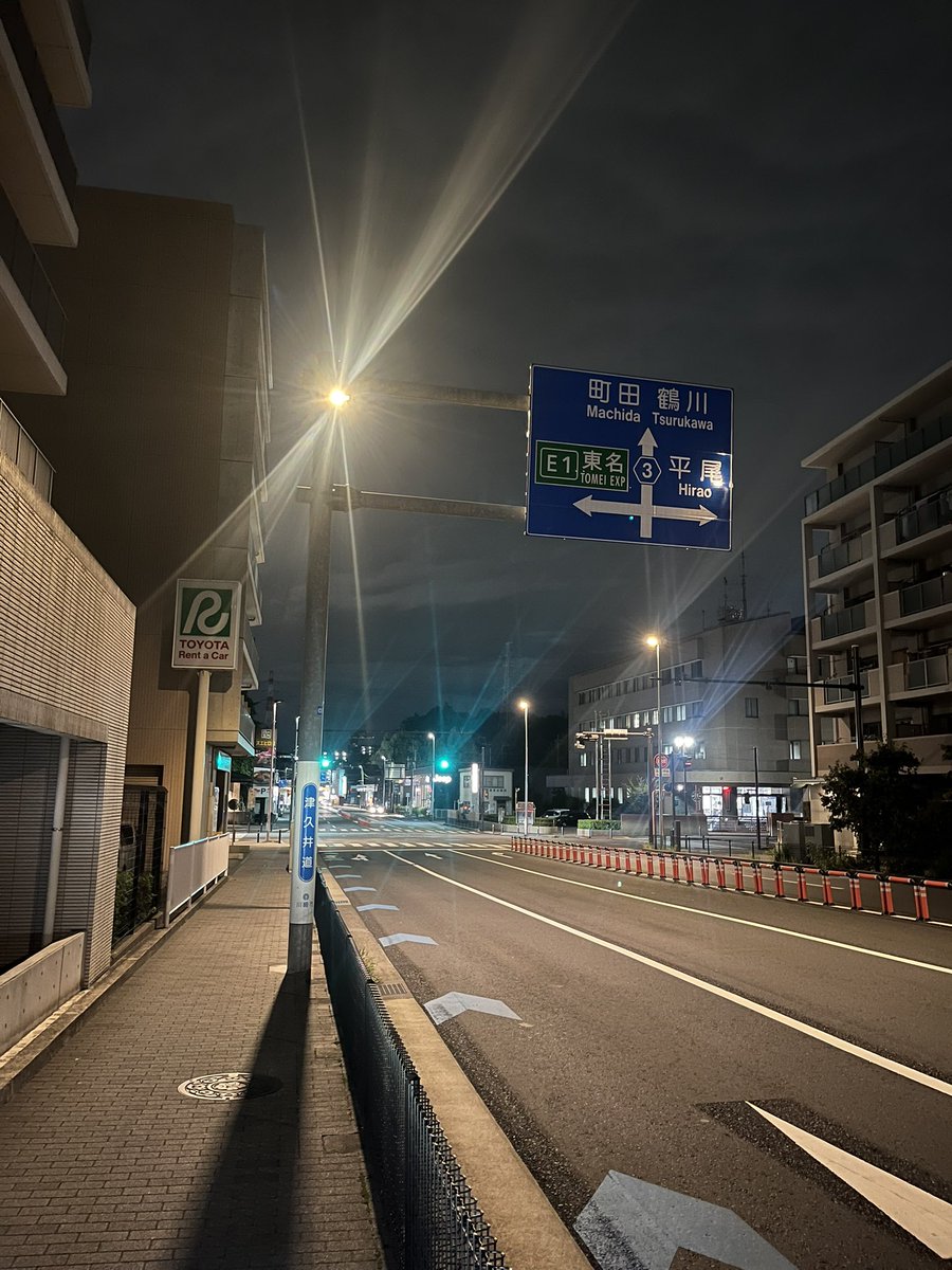 このあとコクワガタみたいなの見つけたのに電池少なくて写真撮れへんかった