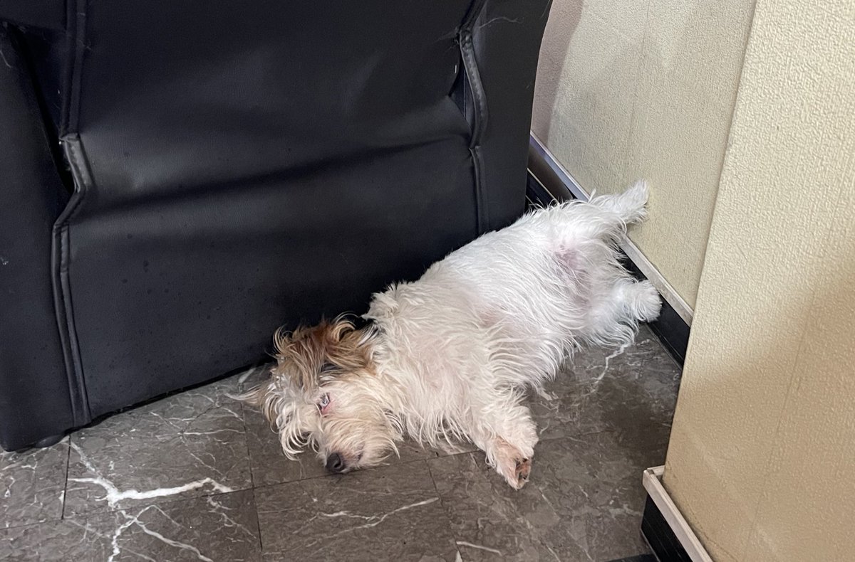 Agustín (@agustinpercoco) on Twitter photo Ponete cómoda Ponete cómoda