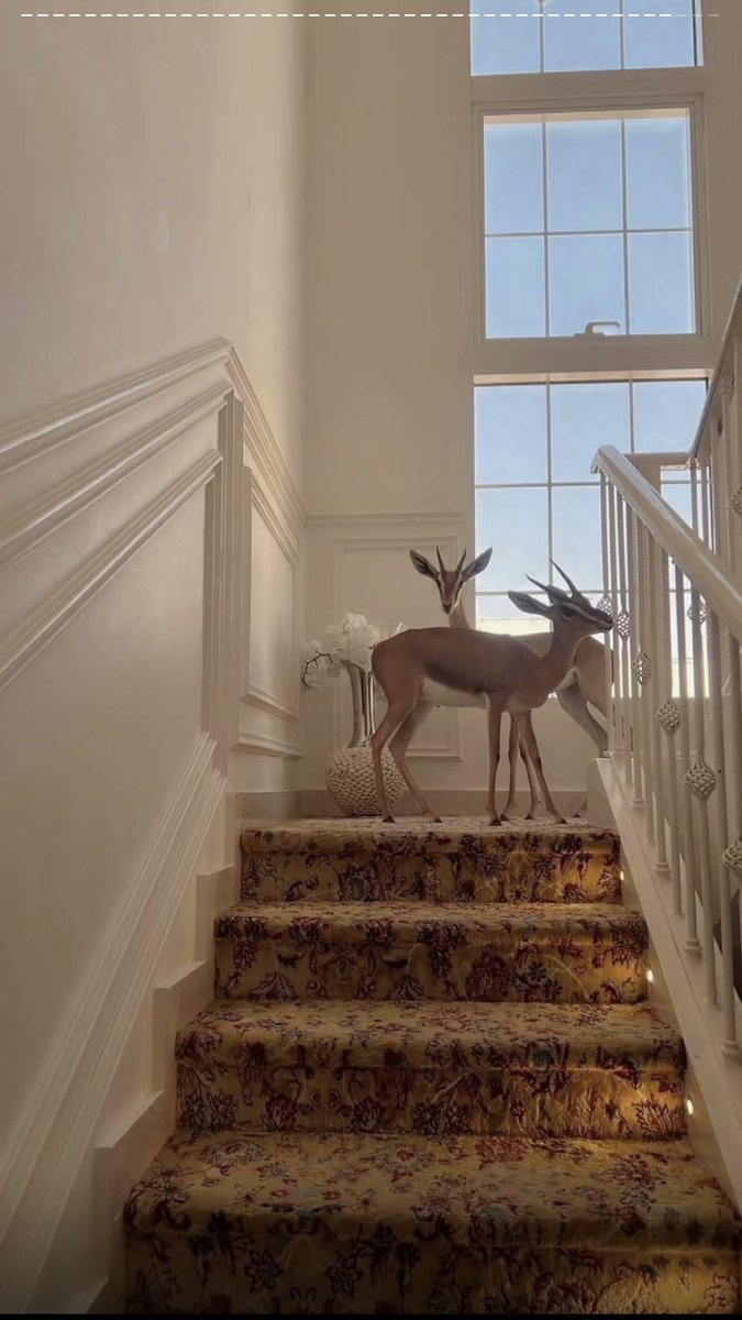 « الا ياغزالٍ فوق خده رموشٍ سود 
مضاليل رمشه ضافياتٍ على خده »