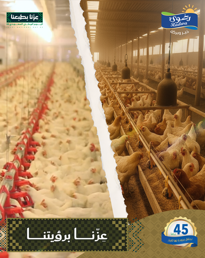 رضوى الغذائية | Radwa Foods tweet media