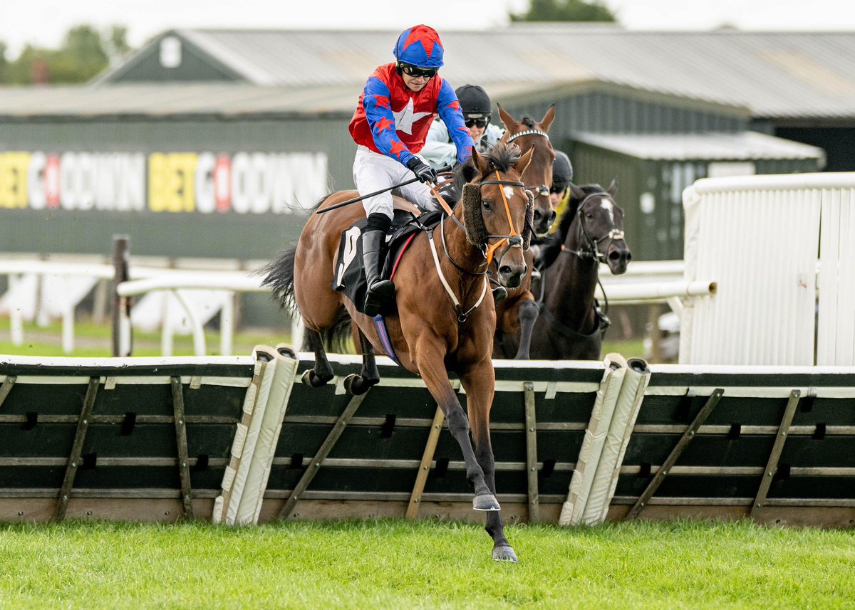 Plumpton Racecourse tweet media