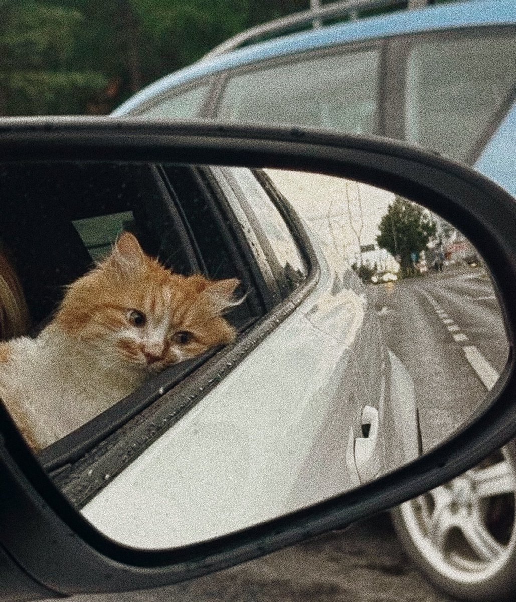 Headliner (@headlinertr) on Twitter photo 