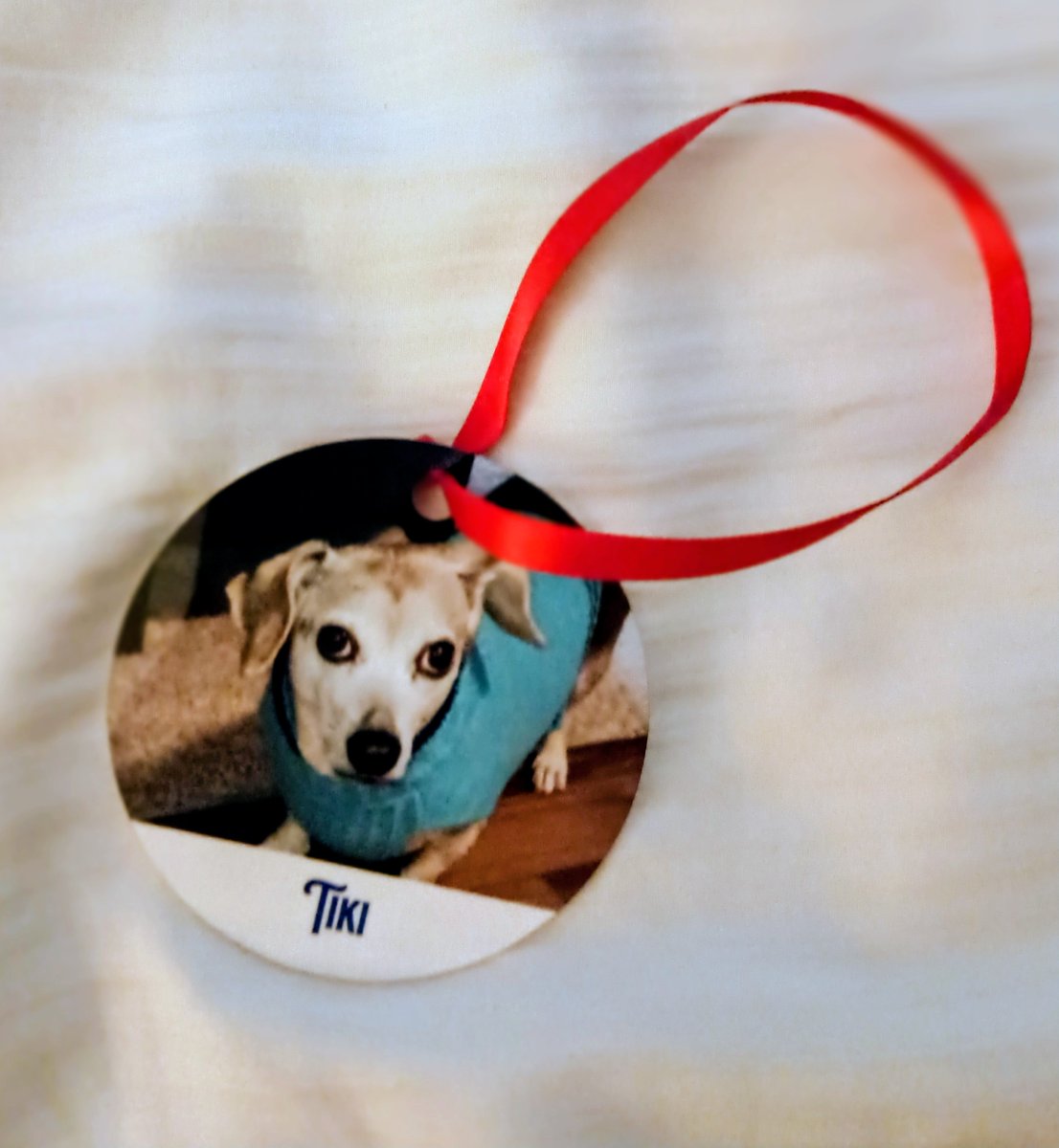 pattracy2's tweet image. You can buy #personalized #ornaments #totes like these for #cats #dogs. They make lovely #gifts.