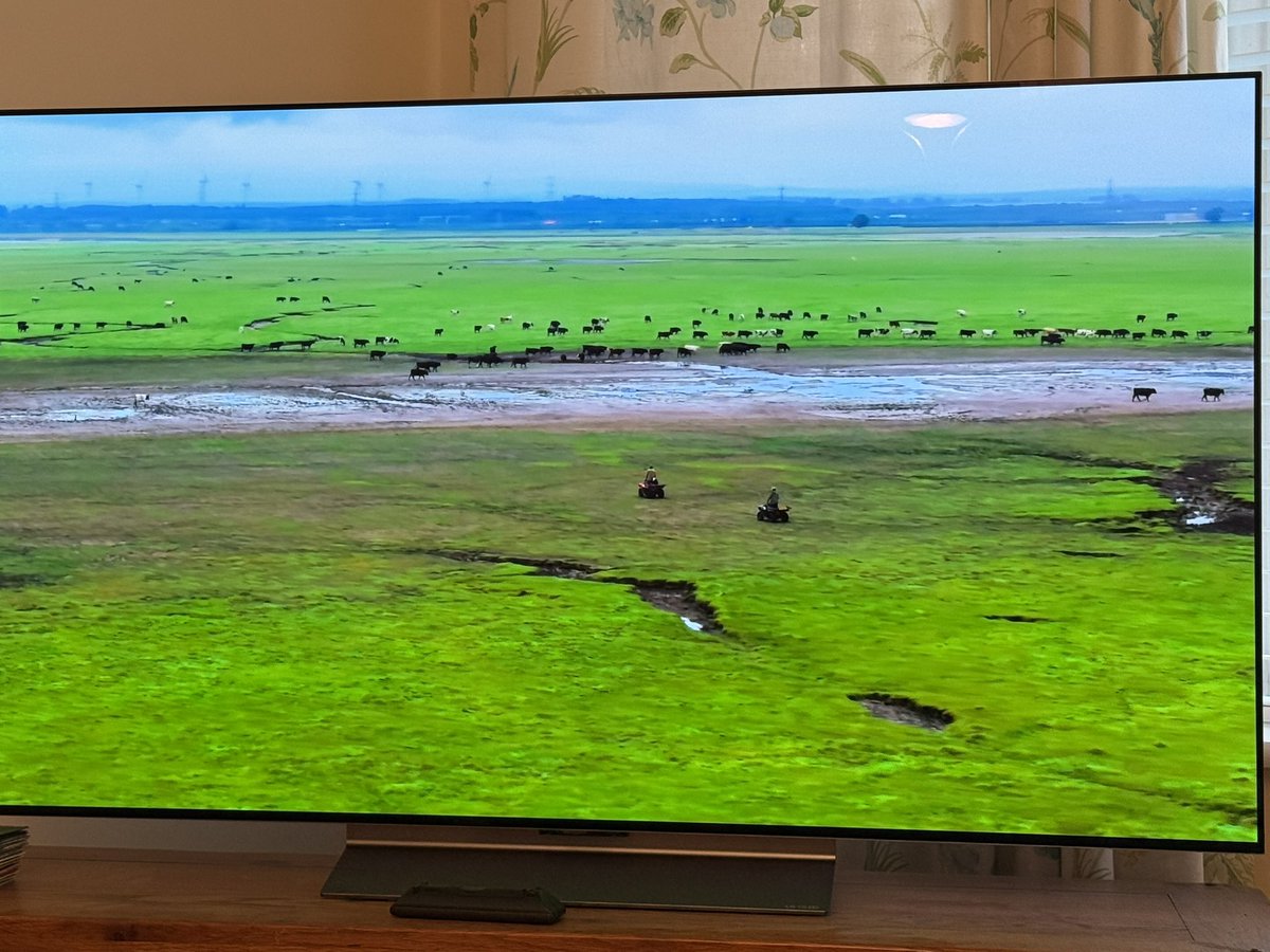 Robert Martin (@ansavalley) on Twitter photo Very good to see on <a href="/BBCCountryfile/">BBC Countryfile</a> how cattle on the Solway plains in Cumbria are improving the habitat for wading birds
<a href="/AdamHenson/">Adam Henson</a>
#commonsensereally
#generationsofhistory
#farmingandnatureinharmony Very good to see on <a href="/BBCCountryfile/">BBC Countryfile</a> how cattle on the Solway plains in Cumbria are improving the habitat for wading birds
<a href="/AdamHenson/">Adam Henson</a>
#commonsensereally
#generationsofhistory
#farmingandnatureinharmony