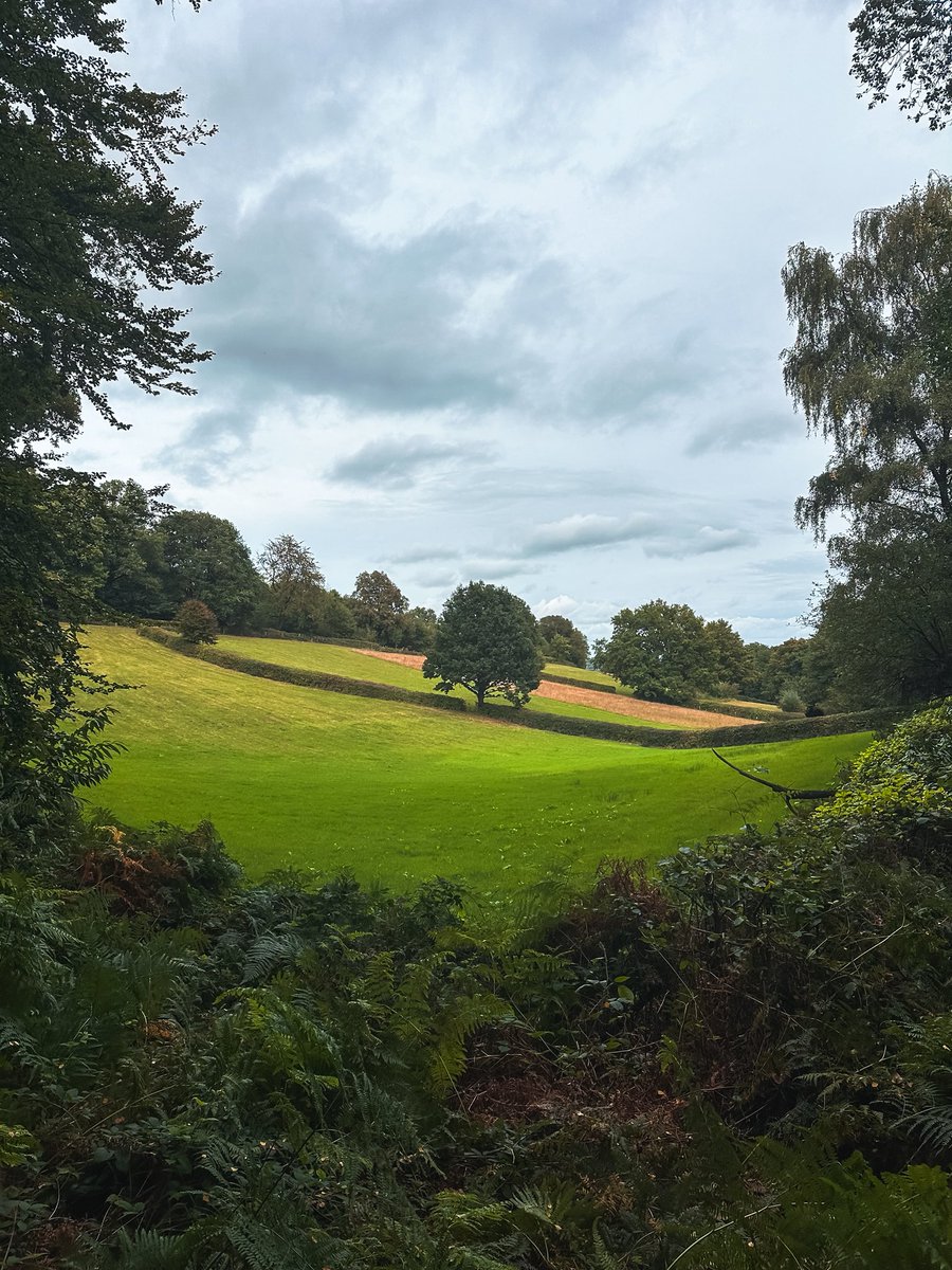Vandaag wezen hiken rondom de Duivelsberg. Oprecht een van de mooiste routes in Nederland met prachtige landschappen en stukken echt natuurlijk bos, heel zeldzaam. 

Ook een stukje oud-Hollands cultuurlandschap met heggen, zoals hier op de foto te zien. Absolute aanrader.