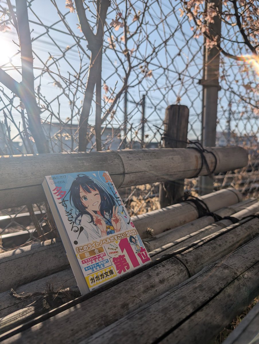 マケイン1巻目読了しました。
アニメ見てから原作読み始めて、常にニヤニヤしながら楽しませていただきました。めっちゃ面白い！
#負けヒロインが多すぎる