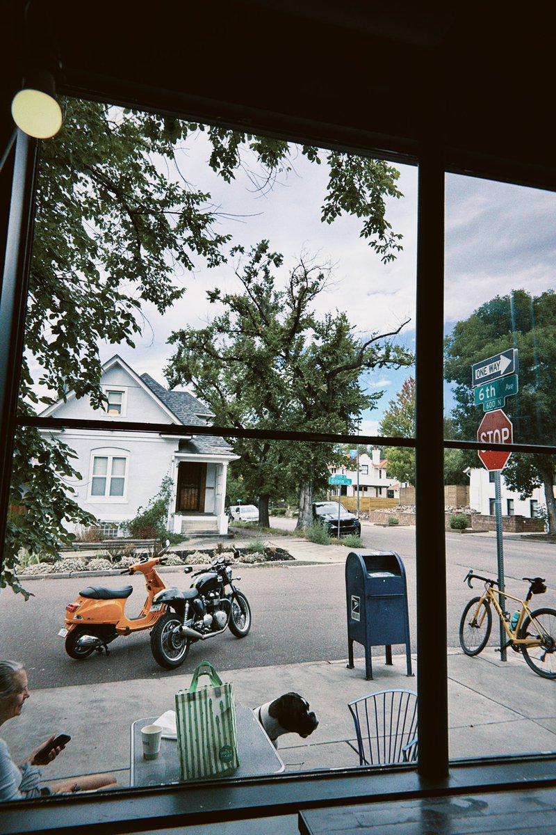 presley 🧸 tweet media